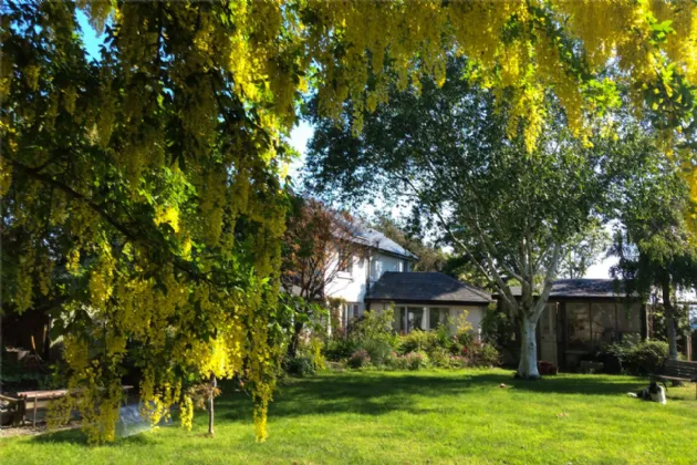 Photo of Clifton Lodge, Corbawn Lane, Shankill, Co Dublin, D18 W281