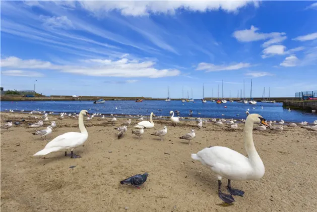 Photo of 5 The Old Stables, Seapoint Road, Bray, Co. Wicklow