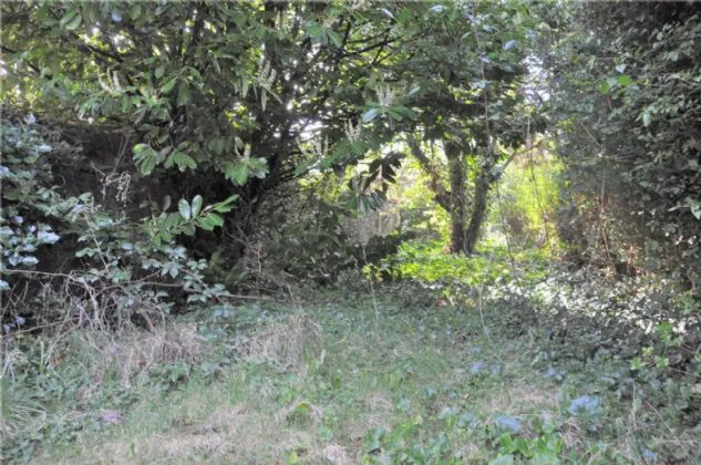 Photo of 1 Hawthorne Place, College Road, Cork, T12A2R2