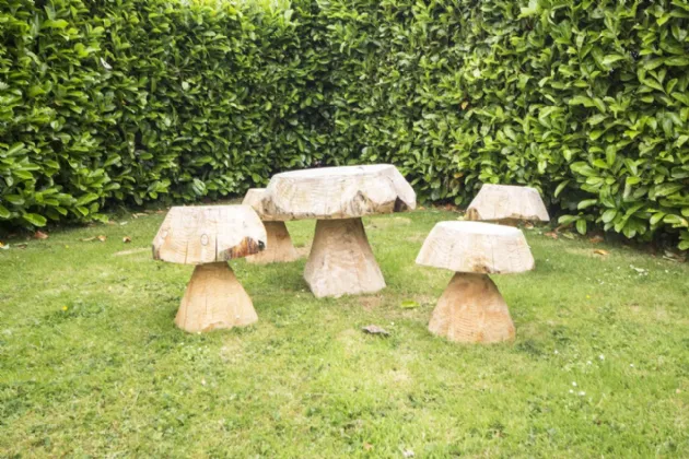 Photo of Rahincuill, Tyrrellspass, Co.Westmeath