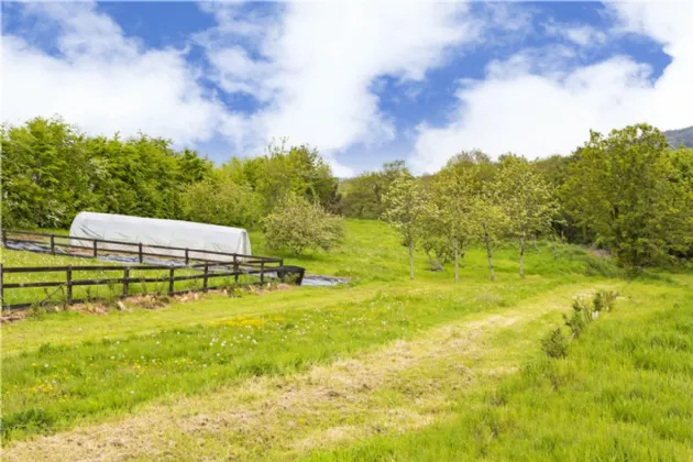 Photo of Camomile, Cullen Lane, Brittas Bay, County Wicklow, A67 CC94