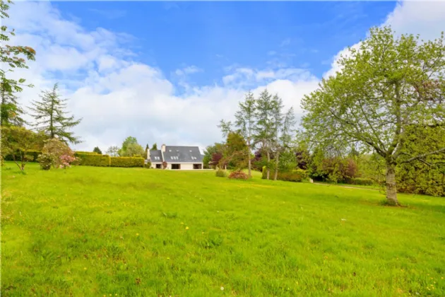 Photo of Camomile, Cullen Lane, Brittas Bay, County Wicklow, A67 CC94