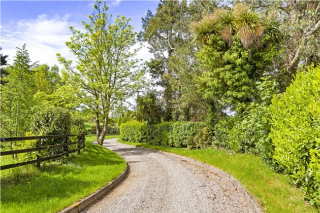 Photo of Camomile, Cullen Lane, Brittas Bay, County Wicklow, A67 CC94