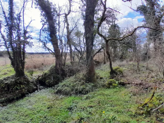Photo of Cornageeha, Killasser, Swinford, Co Mayo