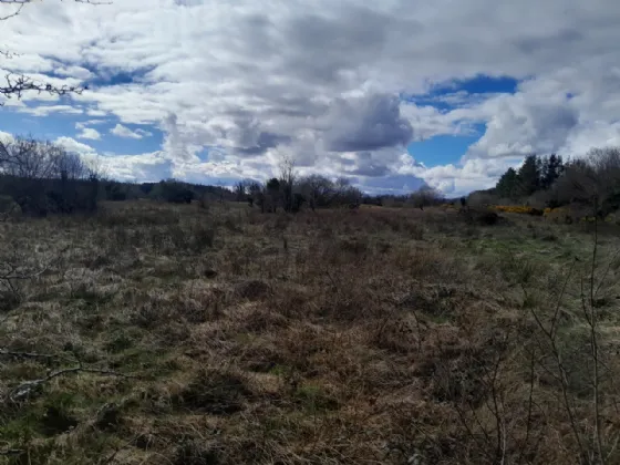 Photo of Cornageeha, Killasser, Swinford, Co Mayo