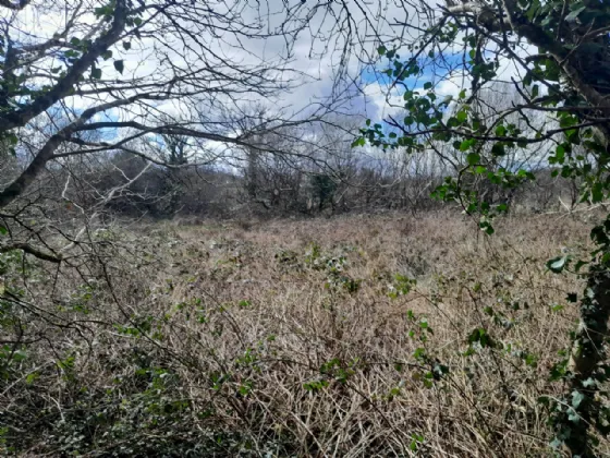 Photo of Cornageeha, Killasser, Swinford, Co Mayo