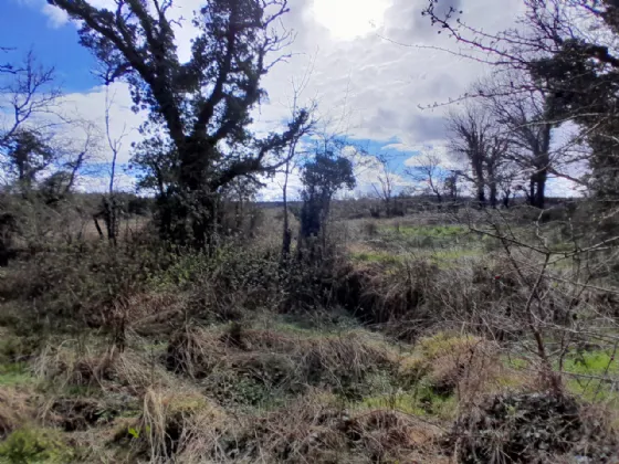 Photo of Cornageeha, Killasser, Swinford, Co Mayo