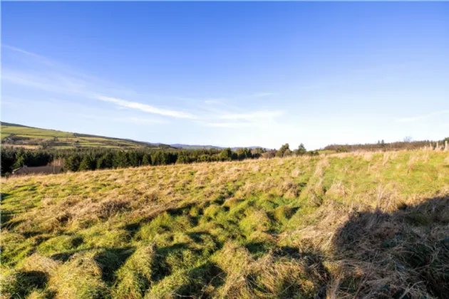 Photo of Site At Parkmore, Moneystown, Co. Wicklow