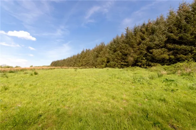 Photo of 26.30 Ha. ( 65 Acres) Approx., Cloonagh, Sooey, Co. Sligo