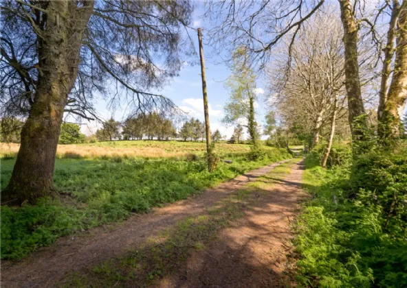 Photo of 26.30 Ha. ( 65 Acres) Approx., Cloonagh, Sooey, Co. Sligo