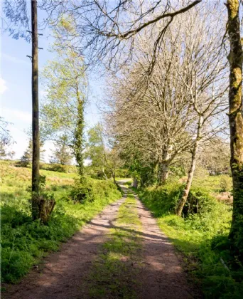 Photo of 26.30 Ha. ( 65 Acres) Approx., Cloonagh, Sooey, Co. Sligo