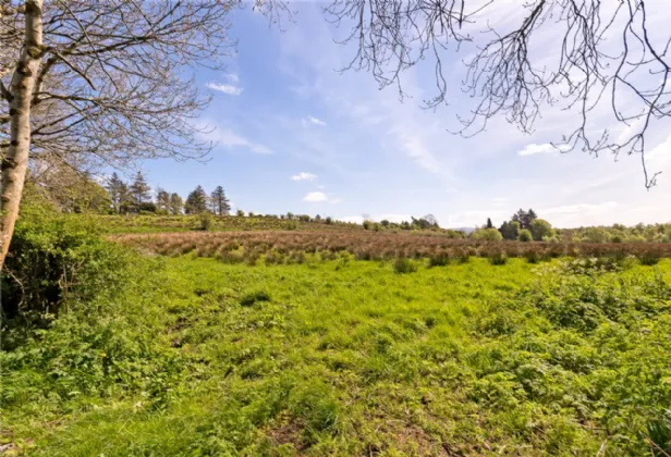 Photo of 26.30 Ha. ( 65 Acres) Approx., Cloonagh, Sooey, Co. Sligo