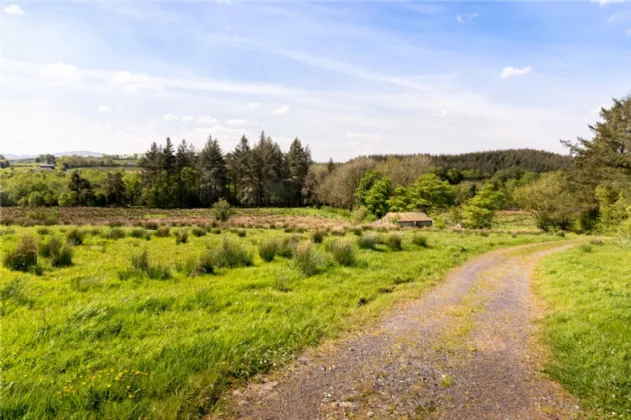Photo of 26.30 Ha. ( 65 Acres) Approx., Cloonagh, Sooey, Co. Sligo