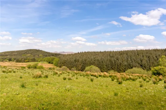 Photo of 26.30 Ha. ( 65 Acres) Approx., Cloonagh, Sooey, Co. Sligo