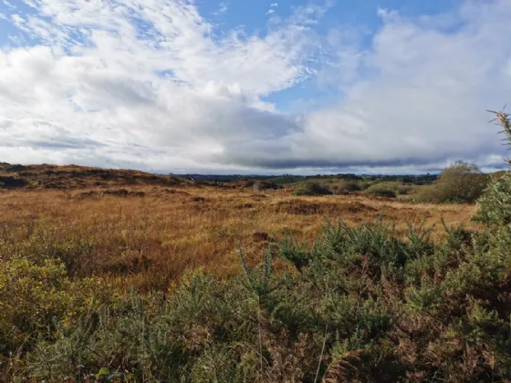Photo of Ummoon, Foxford, Co Mayo