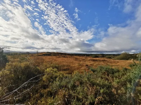 Photo of Ummoon, Foxford, Co Mayo