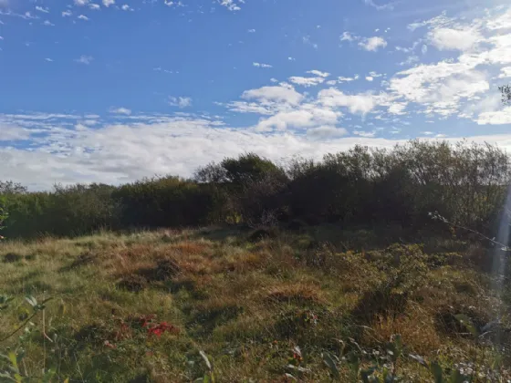 Photo of Ummoon, Foxford, Co Mayo