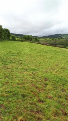 Photo of C.25 Acres Of Land With FPP, Mountplummer, Broadford, Co Limerick