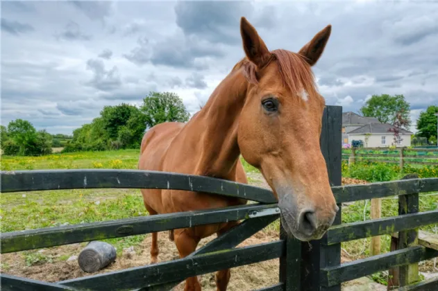 Photo of 2 An Crossaire, Enybegs, Co. Longford, N39 V272