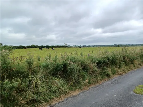 Photo of .32ha / .8ac Site, Brierfield, Moylough, Co. Galway