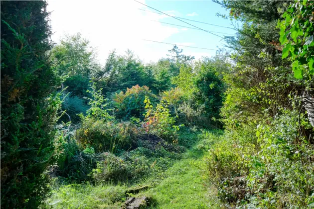 Photo of Derryharrow, Melview Cross, Longford, N39D2P4