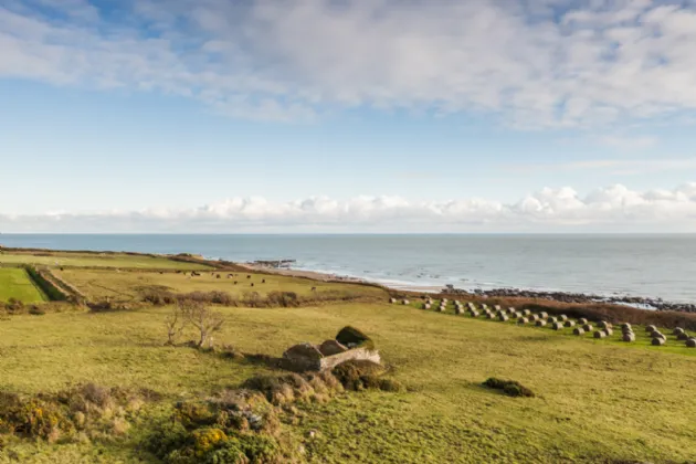 Photo of Oldmill 11.67 Acres, Kilrane, Rosslare Harbour, Co. Wexford