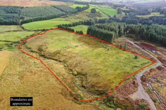 Photo of 13.44 Acres, Cummer, Kilcommon, Thurles, Co. Tipperary