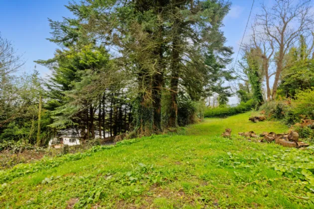 Photo of Primrose Cottage, Scalp Road, Enniskerry, Wicklow, A98 HE09