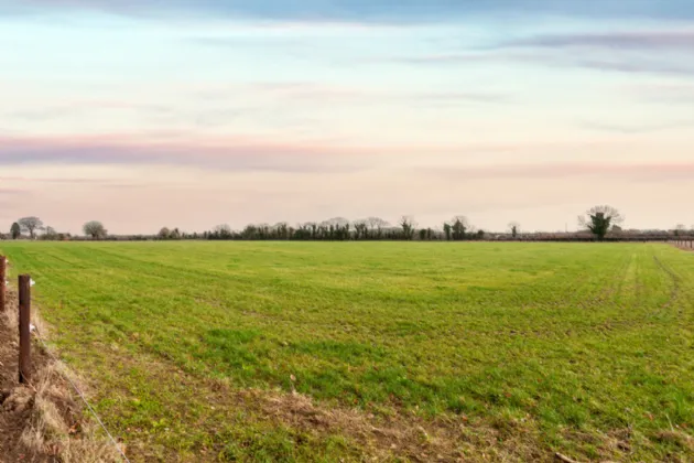 Photo of 8.76 Acres  Land, Mountrice, Monasterevin, Co. Kildare