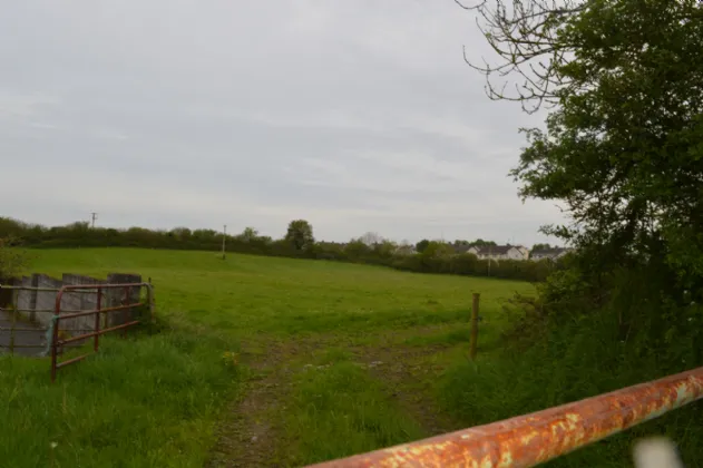 Photo of Land At Kilcoursey, Clara, Co Offaly