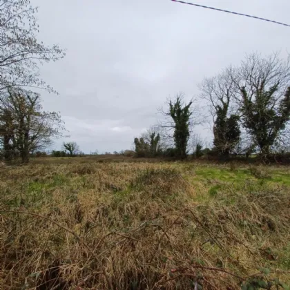 Photo of .32ha / .79ac Site, Kinreask, Gurteen, Ballinasloe, Galway, H53 D720