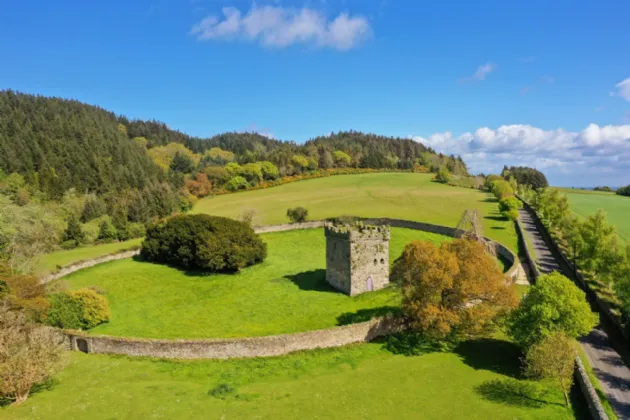 Photo of Dunran Demesne, On Approx. 39 Ha (98 Acres), Ashford, County Wicklow, A67P300