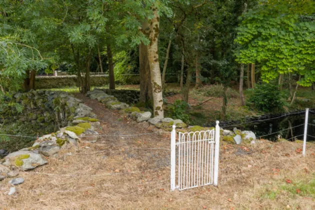 Photo of Dunran Demesne, On Approx. 39 Ha (98 Acres), Ashford, County Wicklow, A67P300