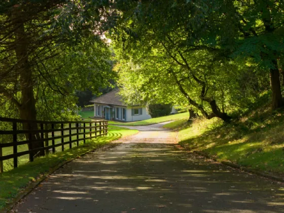 Photo of Dunran Demesne, On Approx. 39 Ha (98 Acres), Ashford, County Wicklow, A67P300