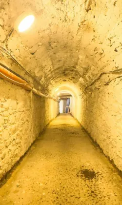 Photo of Dunran Demesne, On Approx. 39 Ha (98 Acres), Ashford, County Wicklow, A67P300