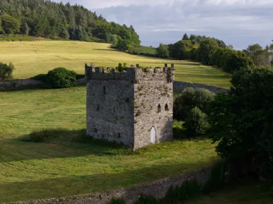 Photo of Dunran Demesne, On Approx. 39 Ha (98 Acres), Ashford, County Wicklow, A67P300