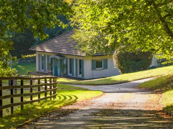 Photo of Dunran Demesne, On Approx. 39 Ha (98 Acres), Ashford, County Wicklow, A67P300