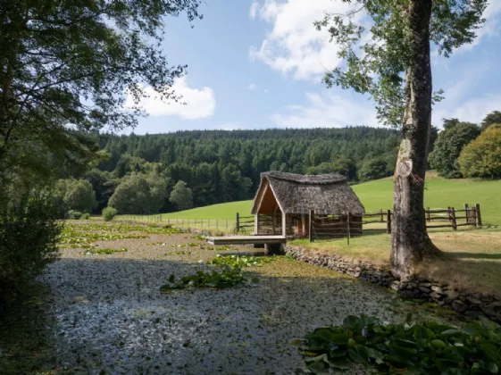 Photo of Dunran Demesne, On Approx. 39 Ha (98 Acres), Ashford, County Wicklow, A67P300