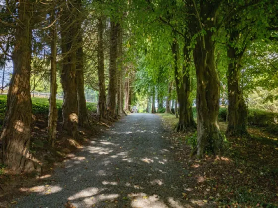 Photo of Dunran Demesne, On Approx. 39 Ha (98 Acres), Ashford, County Wicklow, A67P300