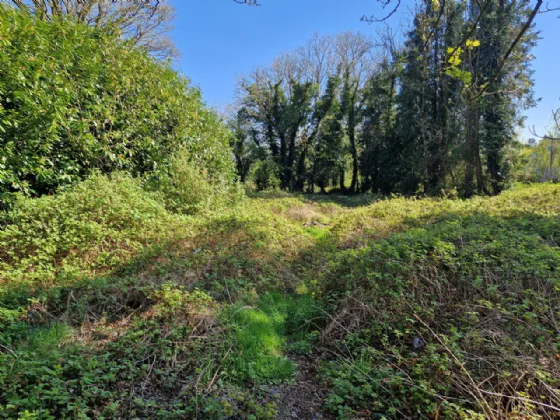 Photo of Teach an Draoi, Killasser, Swinford, Co Mayo, F12 XF96