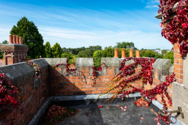 Photo of Greenawn Gowra, Tipper Road, Naas, Co. Kildare, W91 XK6W