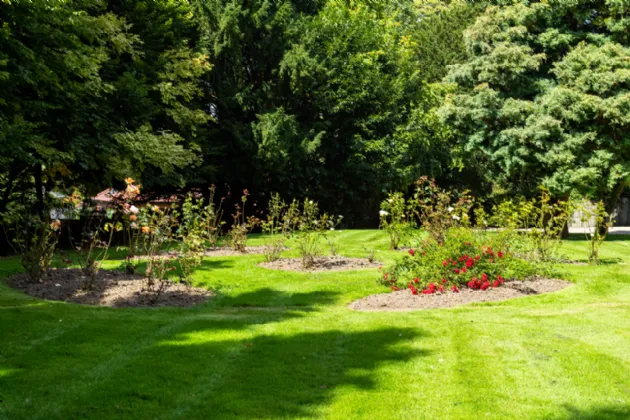 Photo of Greenawn Gowra, Tipper Road, Naas, Co. Kildare, W91 XK6W