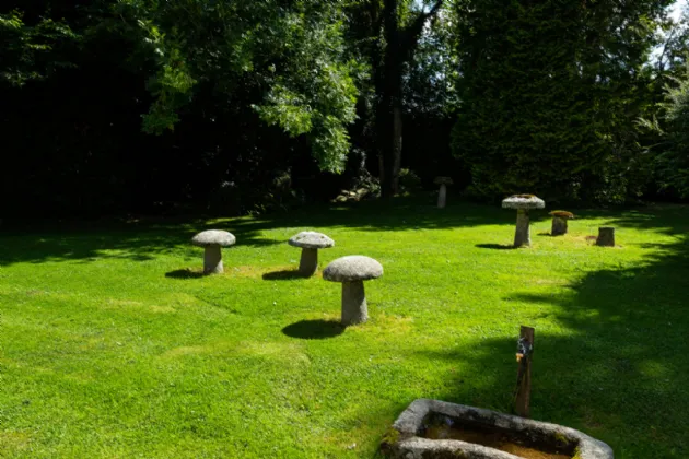 Photo of Greenawn Gowra, Tipper Road, Naas, Co. Kildare, W91 XK6W