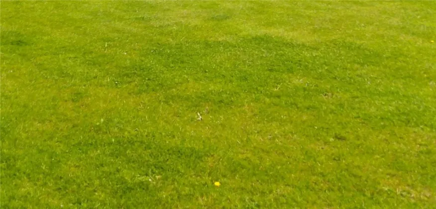 Photo of Patrickswell, Rathvilly, Co. Carlow