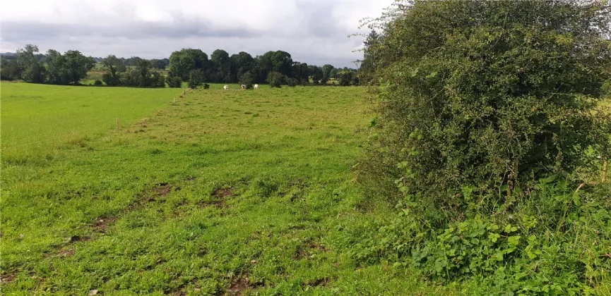 Photo of .27 Hectare / .66 Acre, Dalgin, Milltown, Tuam, Co. Galway