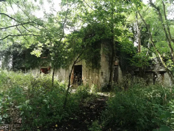 Photo of Portaliff House, Portaliffe, Killeshandra, Cavan