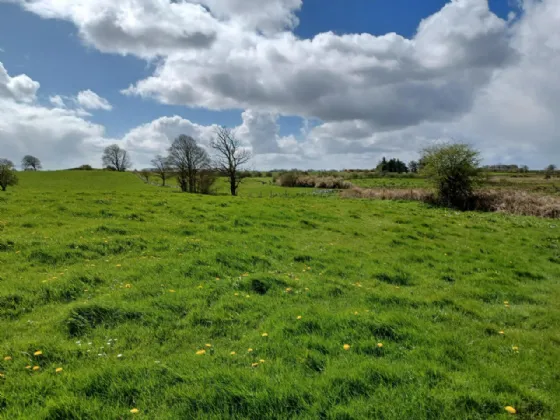 Photo of 0.69 Acre Site With F.P.P, Clooneen, Dunmore, Co. Galway