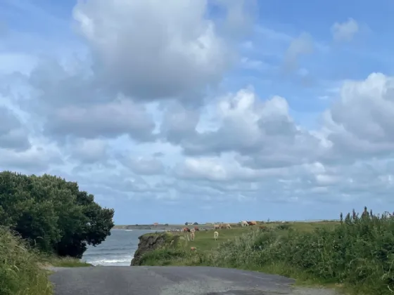 Photo of Residential Site, Caherush, Quilty, Co Clare
