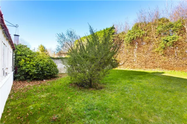 Photo of Brandon, 31 Trees Road, Mount Merrion, Co Dublin, A94 X6Y7