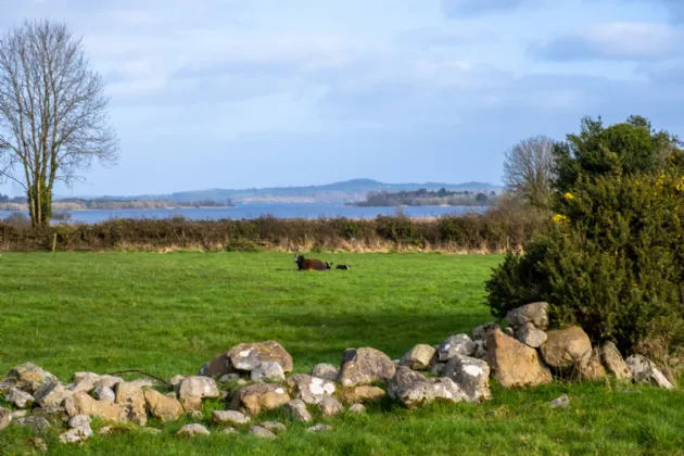 Photo of Coose North, Whitegate, Co. Galway, V94 Y1TT